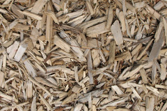 biomass boilers Shortwood