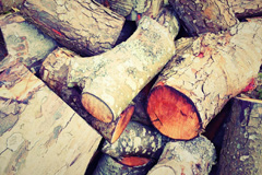 Shortwood wood burning boiler costs